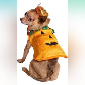Pumpkin dog costume and hat set for dog or cat